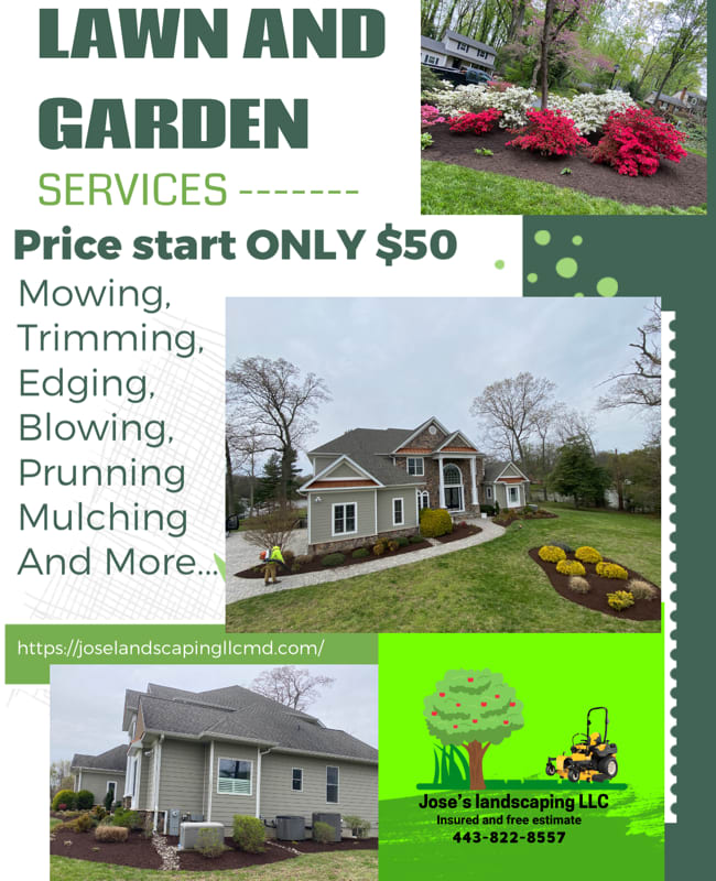 José Tree Service Annapolis, MD