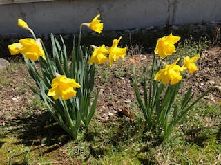 Spring!