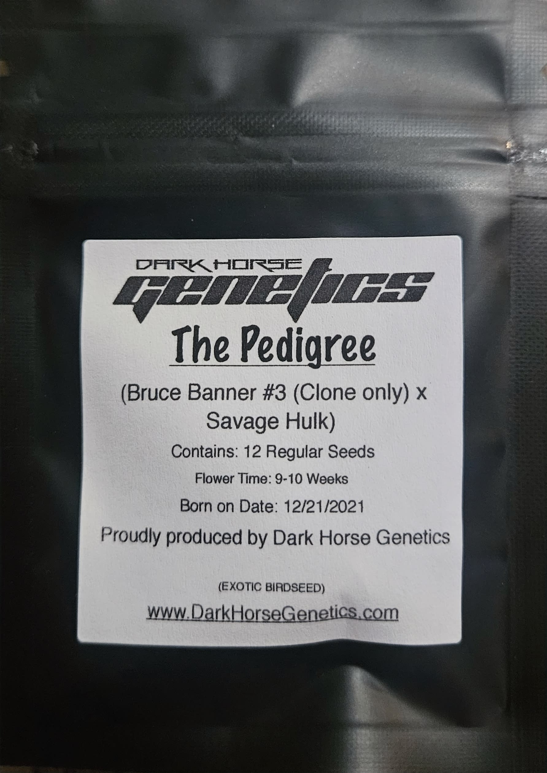 The pedigree - Dark horse genetics - Diverseedy | Seed Bank in