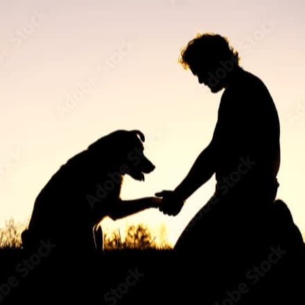 Underdog Rescue Training