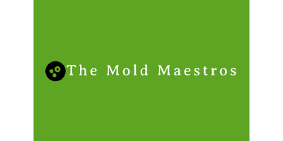 The Mold Maestros