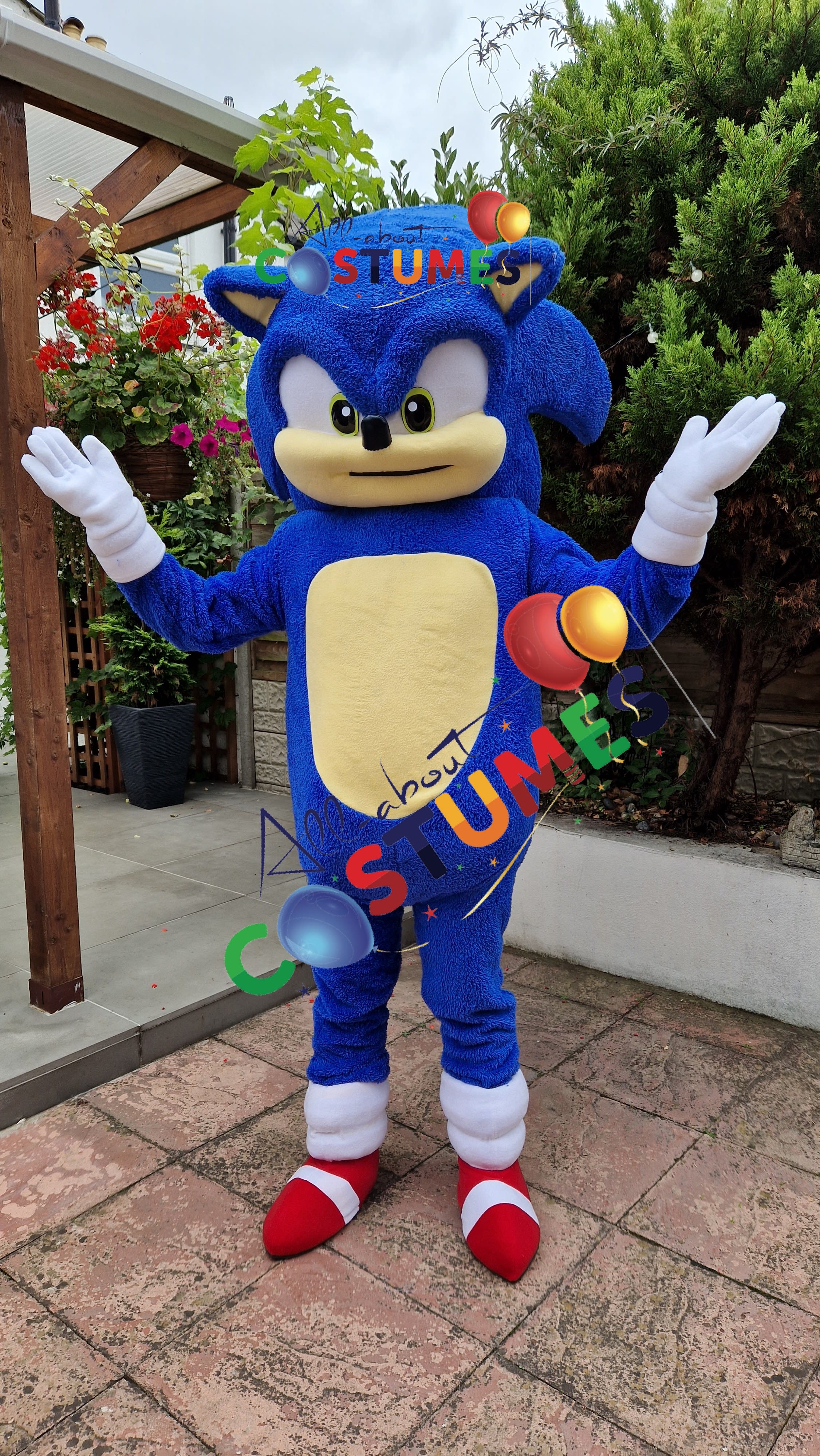 Mascot Costume Sonic