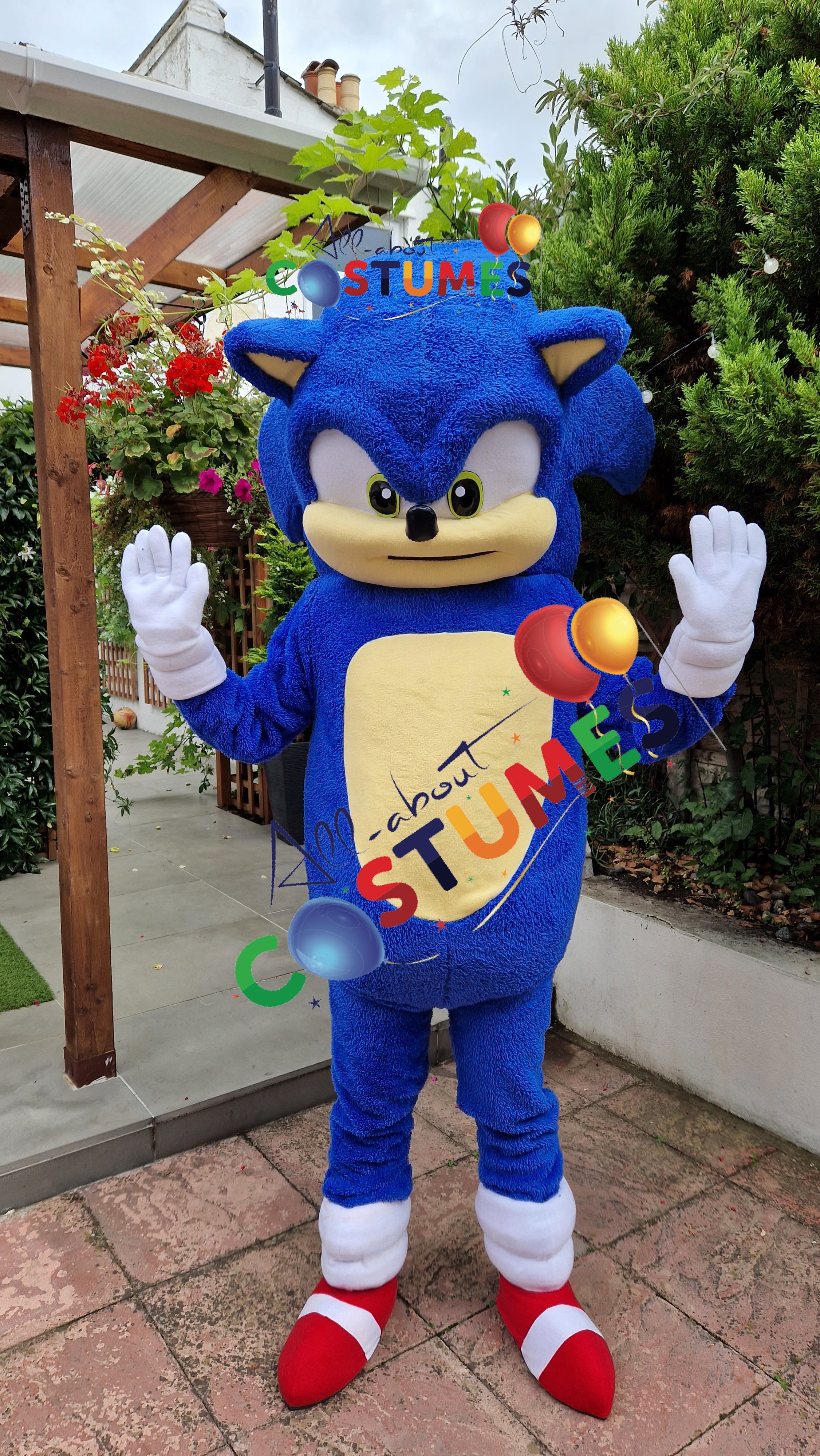 Childrens Sonic the Hedgehog Mascot Costume  Sonic the hedgehog costume,  Sonic the hedgehog, Mascot costumes