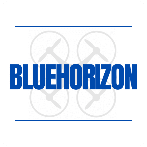 Blue Horizon, LLC