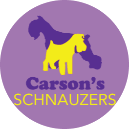 Carson Schnauzers