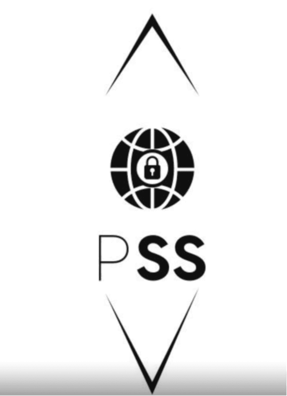 Parse Security Systems LTD