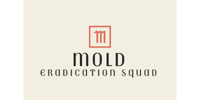 Mold Eradication Squad