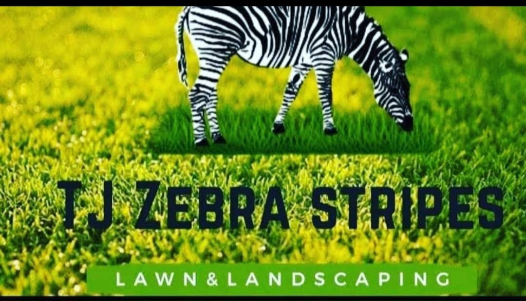 TJ Zebra Stripes