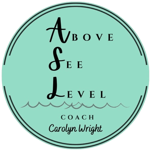 Above See Level Coaching