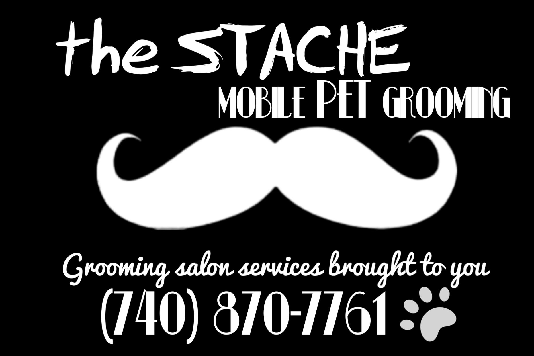 The Stache In home pet Grooming