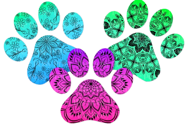 PawZ-itively Swag, LLC