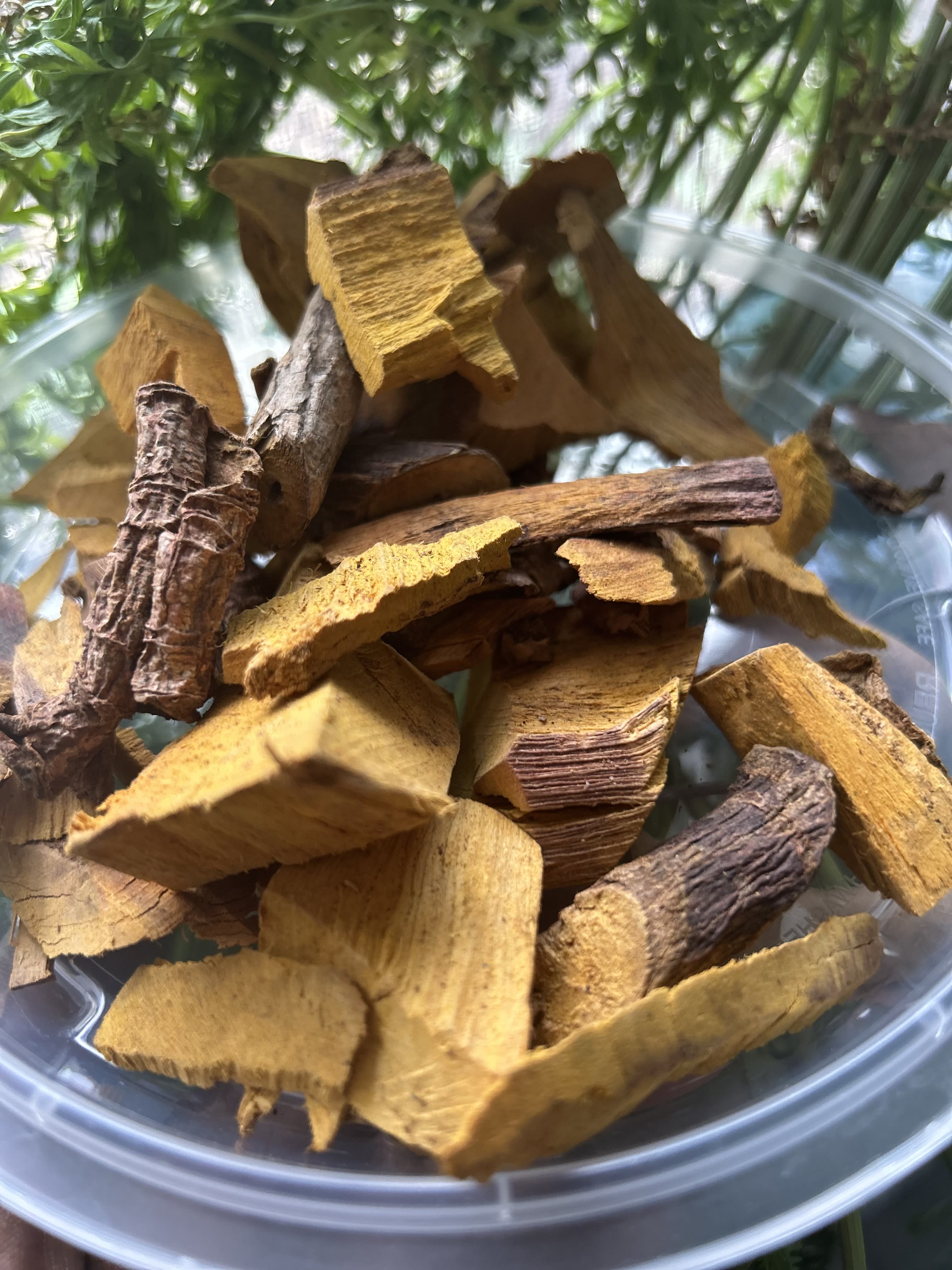 Material Back Root STRONG BACK ROOT - stamina and bring much-needed relief impotency ...