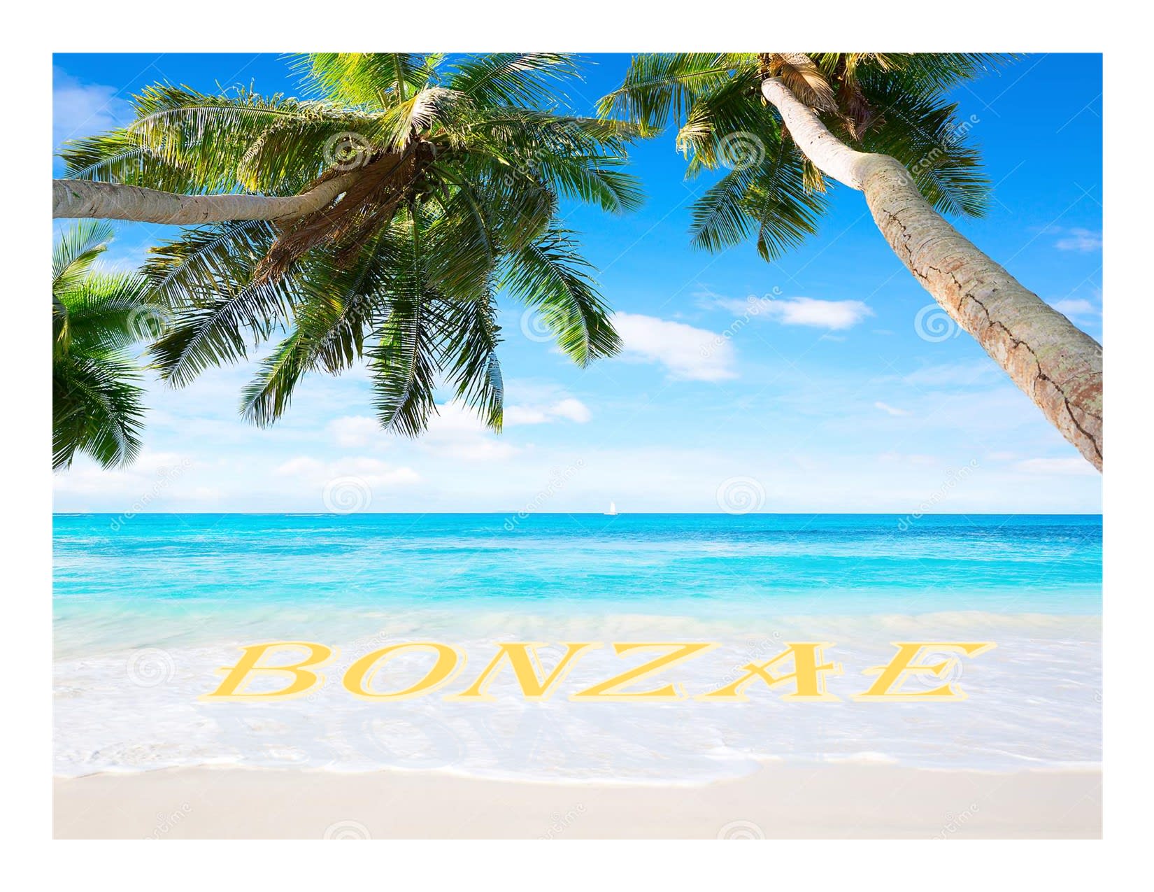 BonZae Vision's