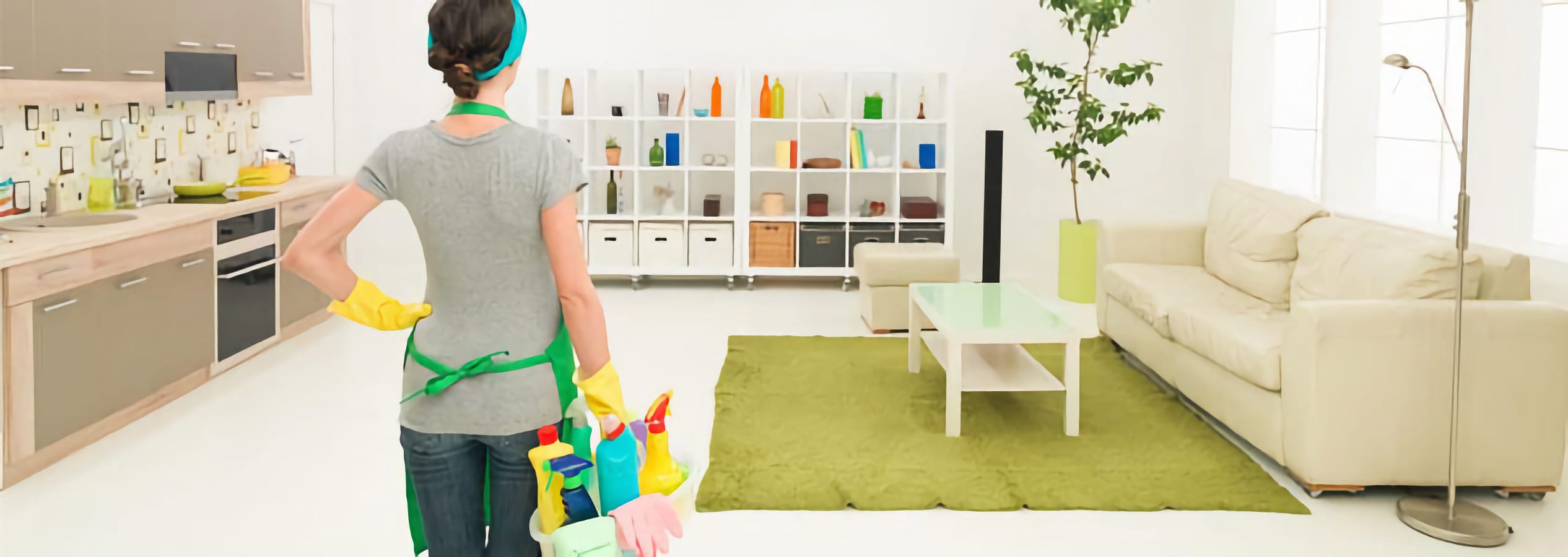 Charlotte Personal Assistant Residential and Commercial Cleaning in