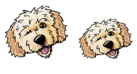 Doodles Collectibles