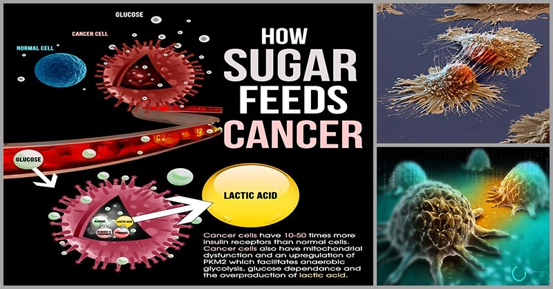 latest research on sugar and cancer