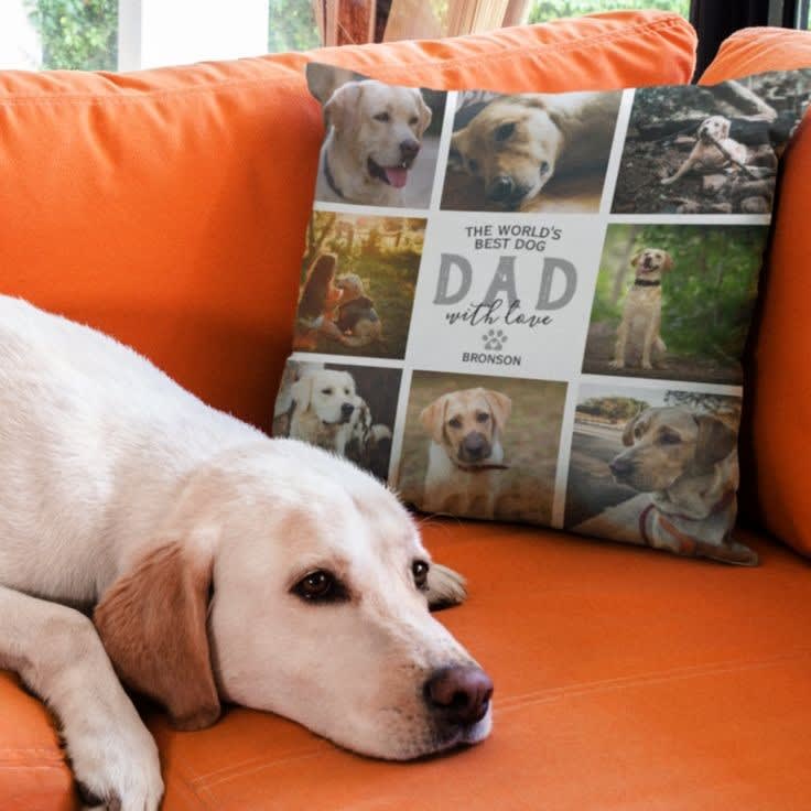Puppy Love Pet Grooming Pet Grooming Services Mesa Puppy love pet grooming pet grooming services mesa
