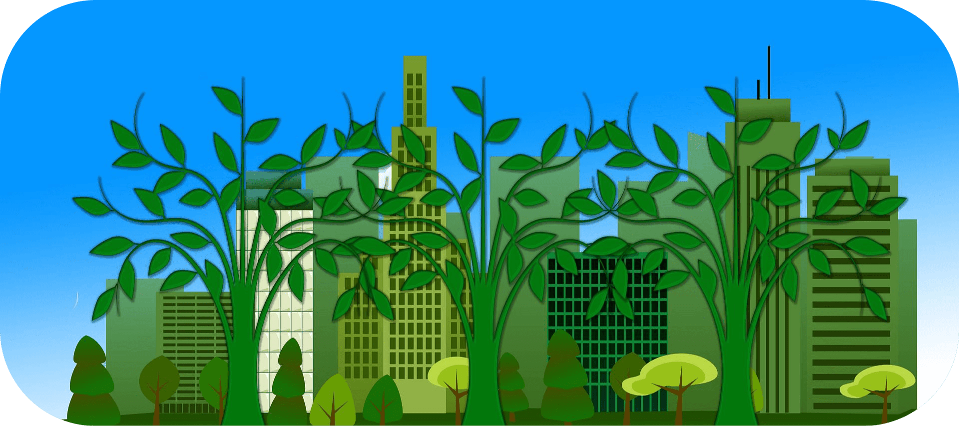 Sustainable Solutions Broward