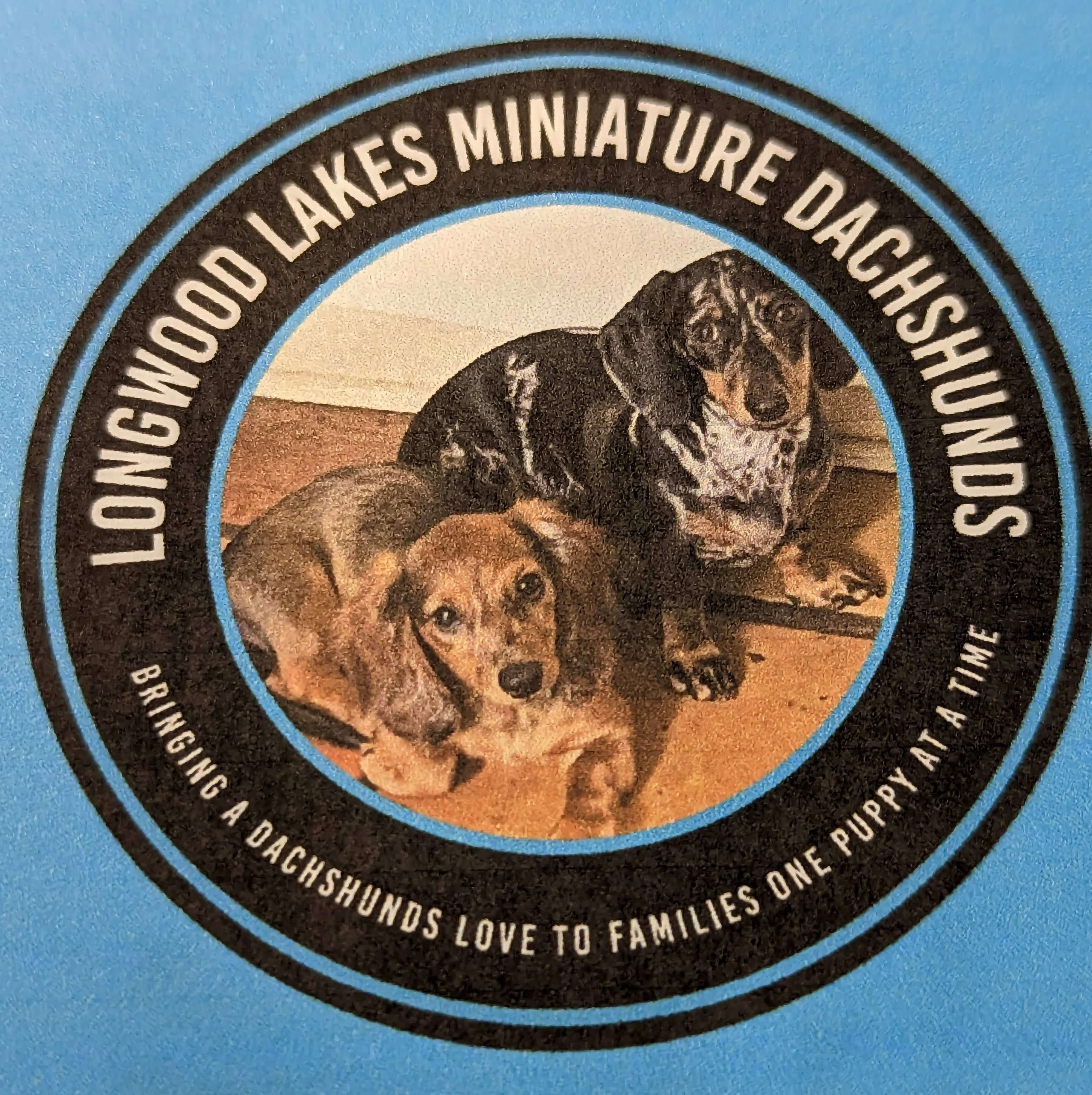Longwood Lakes Miniature  Dachshunds