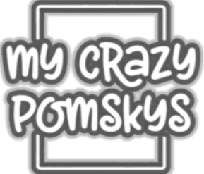 My Crazy Pomskys