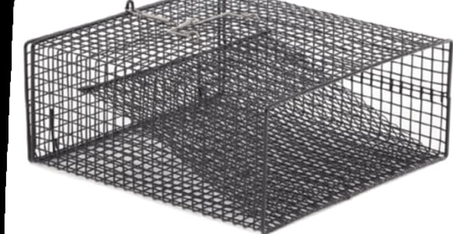 Crawfish Trap - Baskets, Traps, and Cages - Whisper's Bait and Tackel