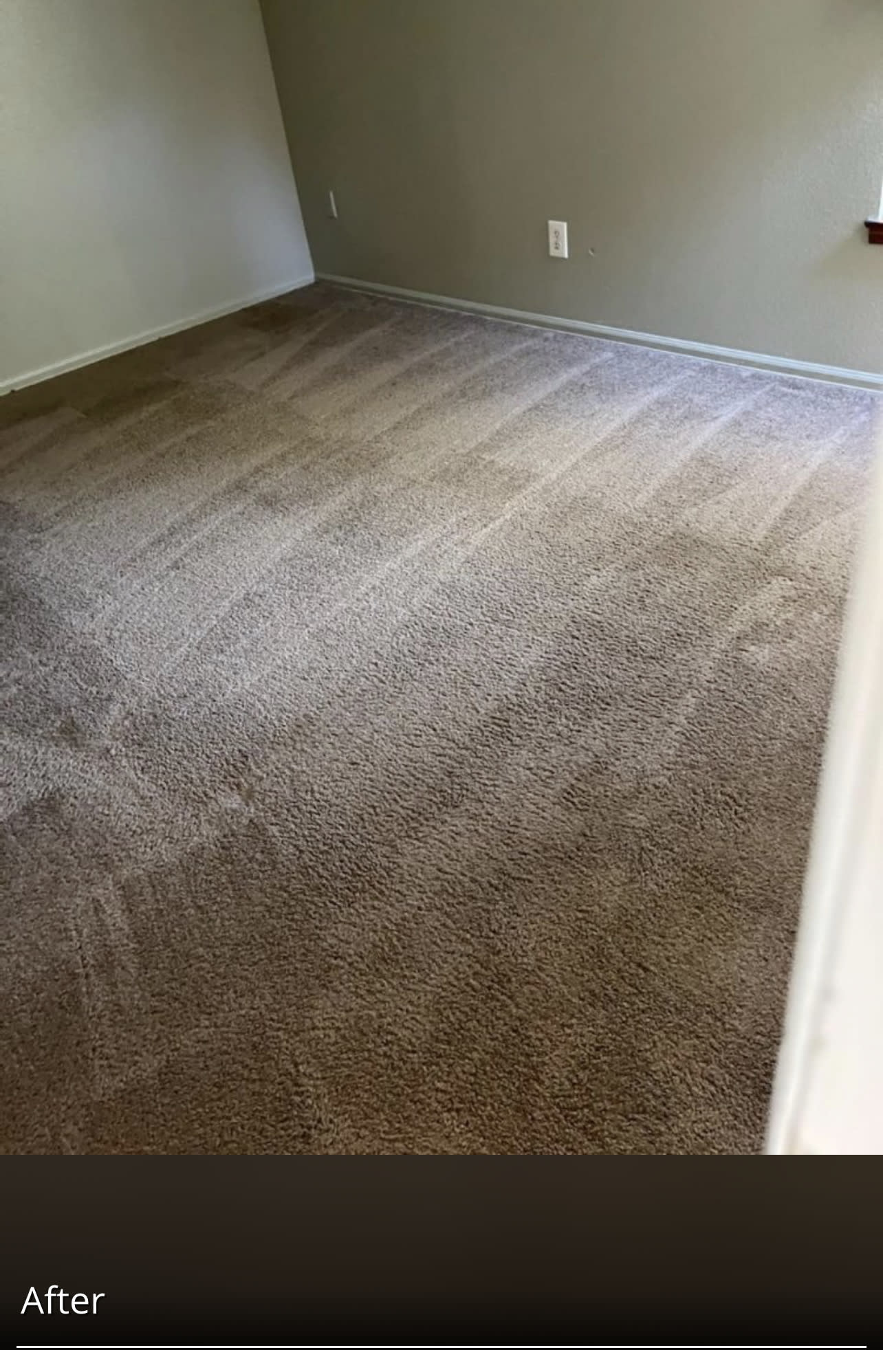 Carpet & Tile Cleaning OUR SERVICES Best Quality Services LLC