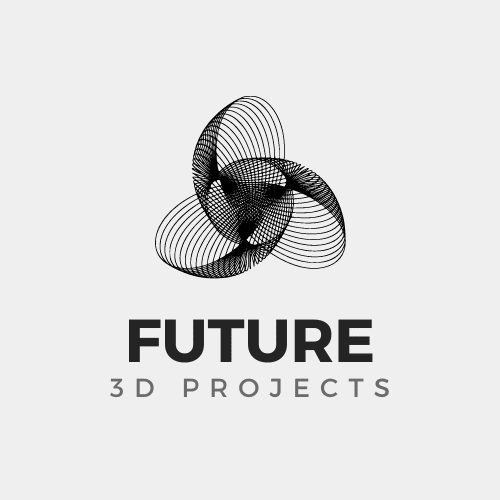 Future 3D Print