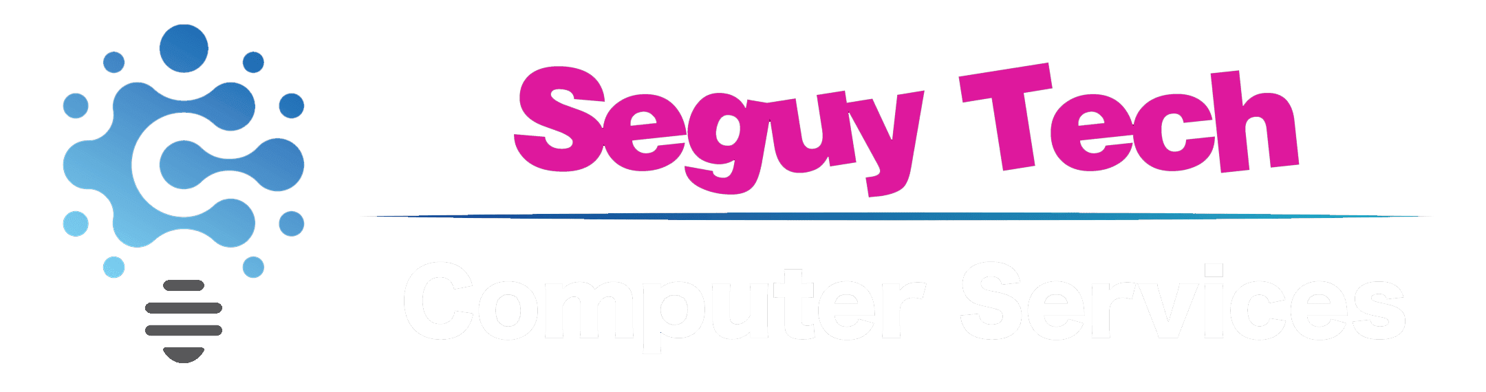 Seguy Tech Computer Services