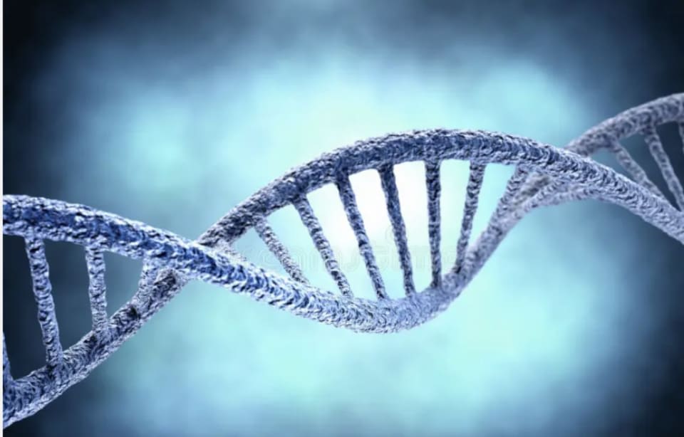 What is Rapid transformation Therapy? WHY it's different from all the rest!