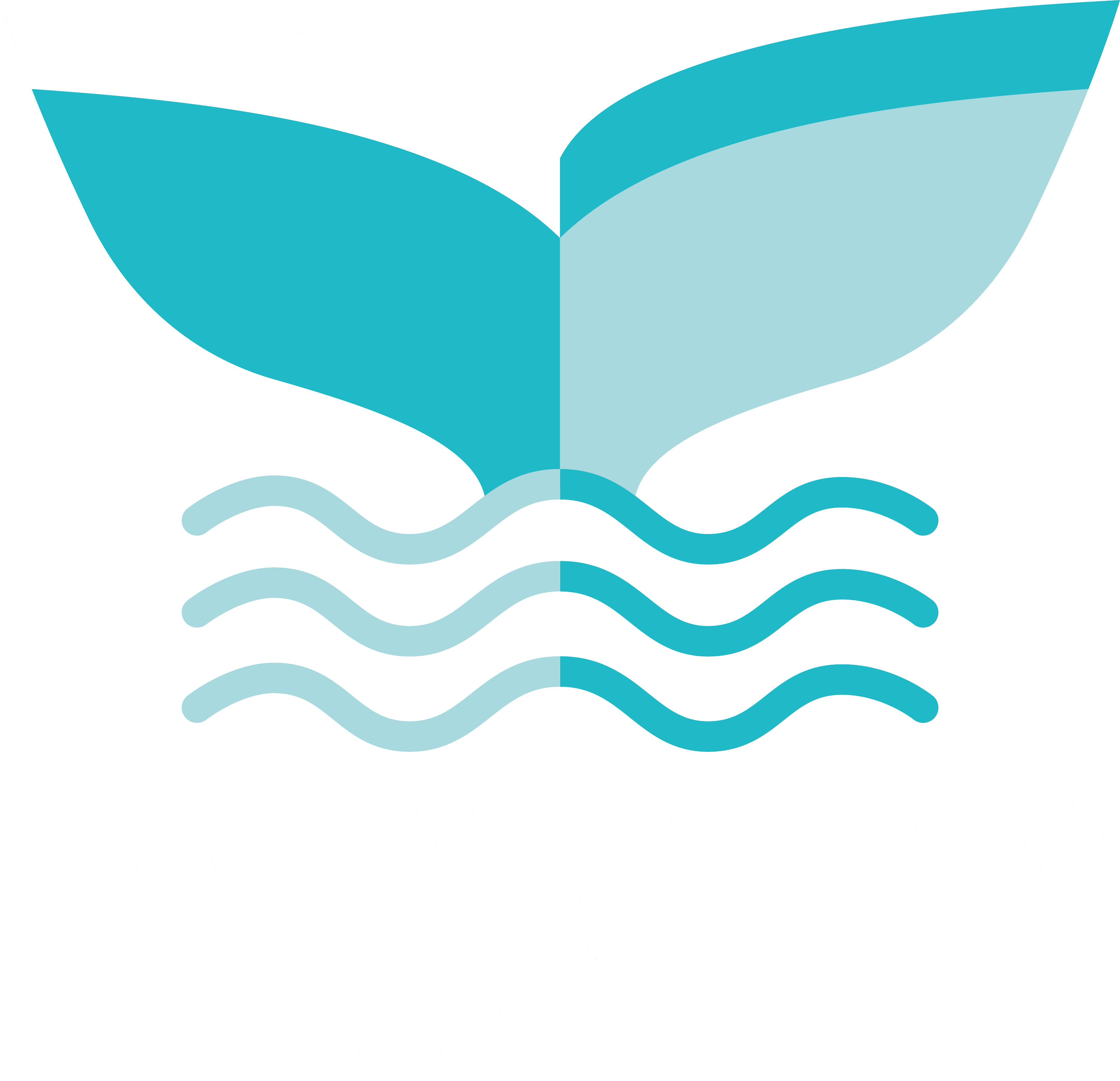 Playeras de Lycra & Dry Fit