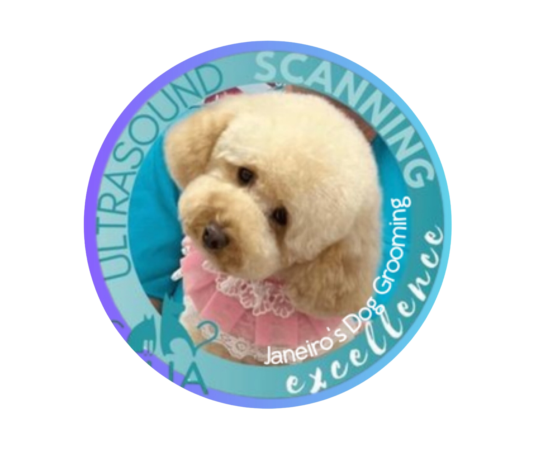 Janeiros Dog Grooming & Ultrasound Scan Pet Services Doncaster