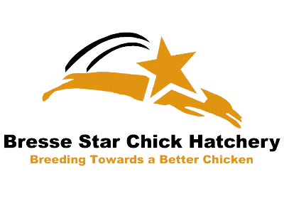 Utah - Bresse Star Chick Hatchery