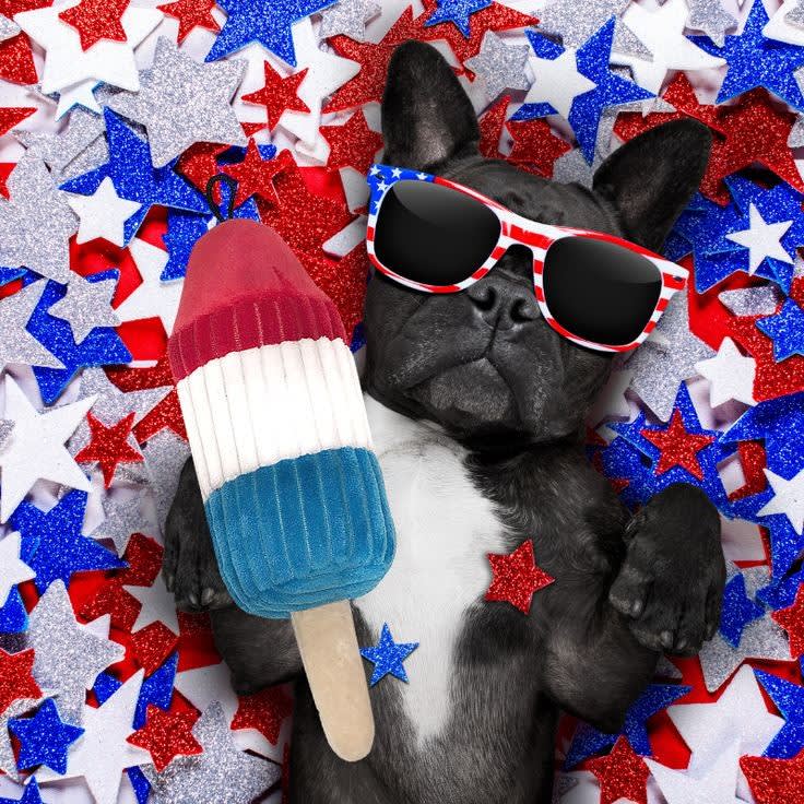 Puppy Love Pet Grooming Pet Grooming Services Mesa Puppy love pet grooming pet grooming services mesa