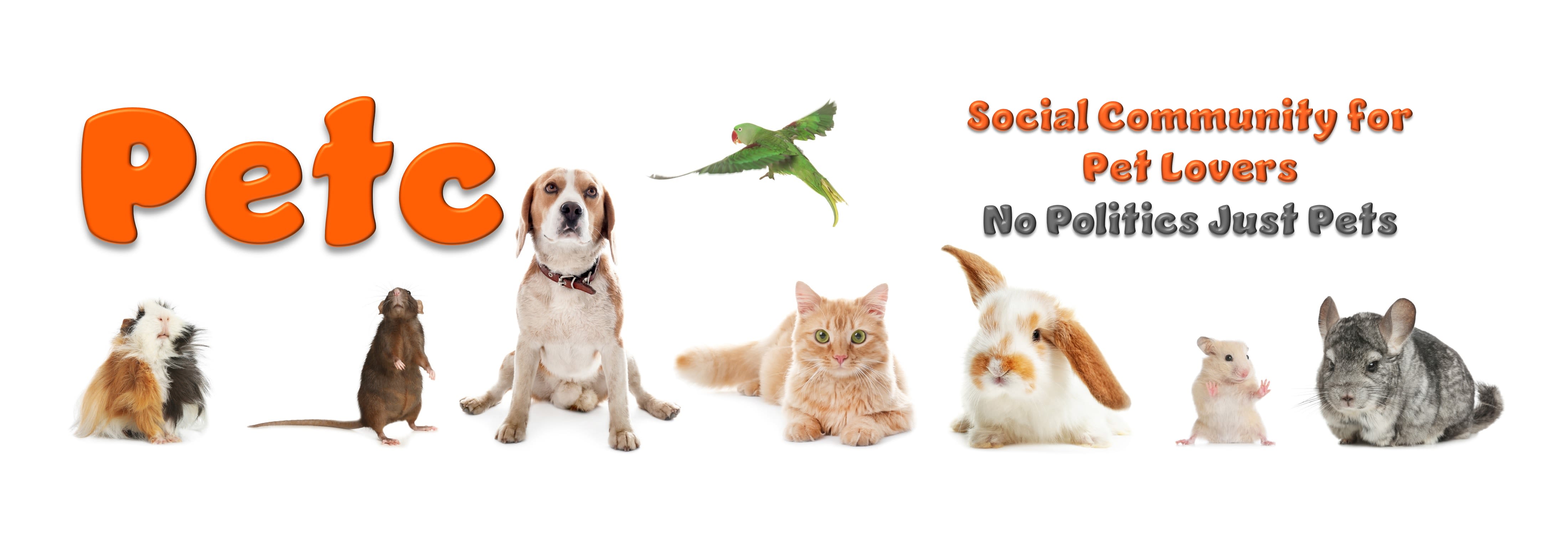 Yedi World Pet Store Pagosa Springs