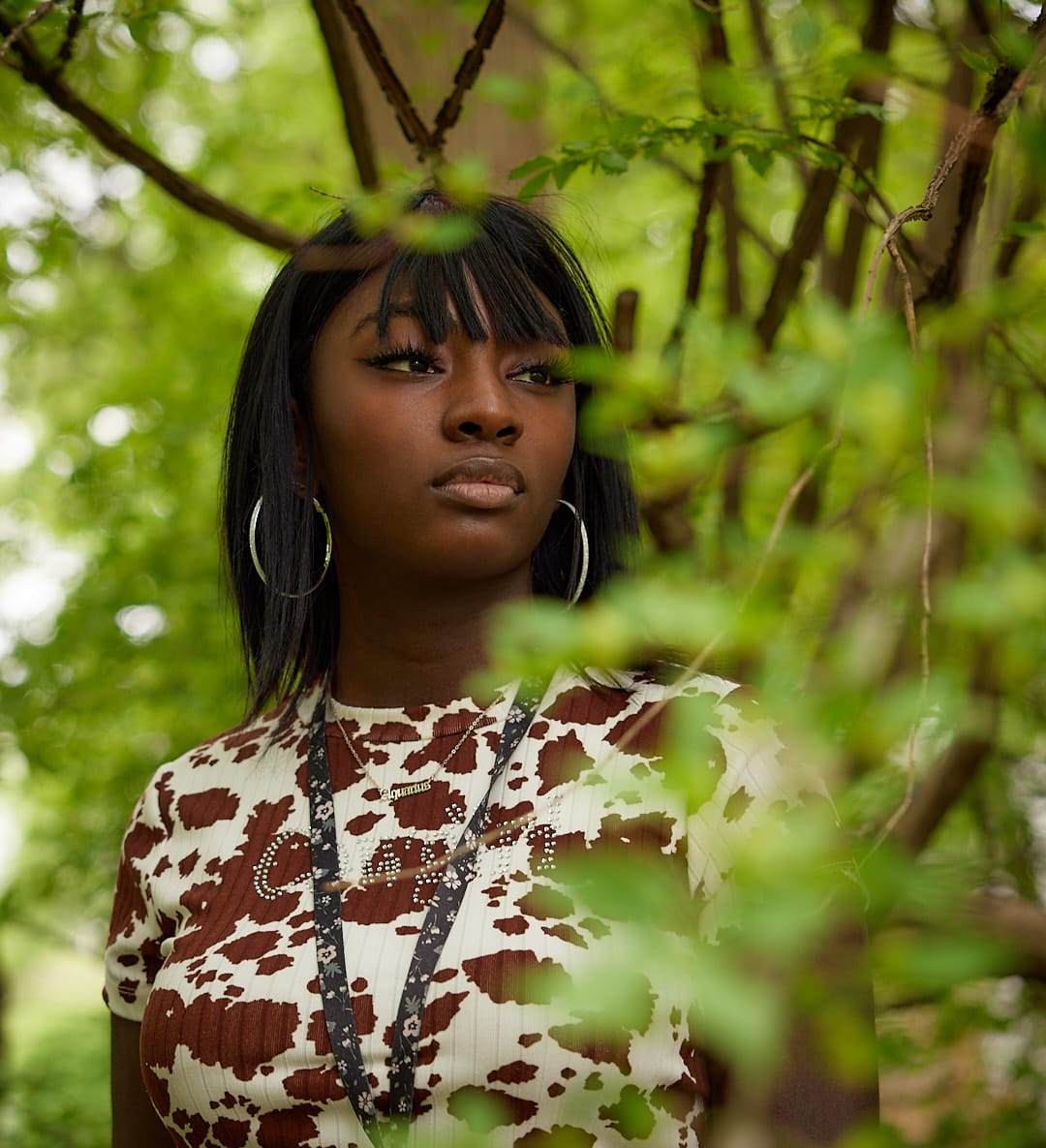 Section background image