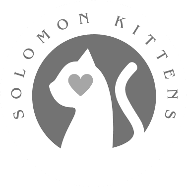 Solomon Kittens