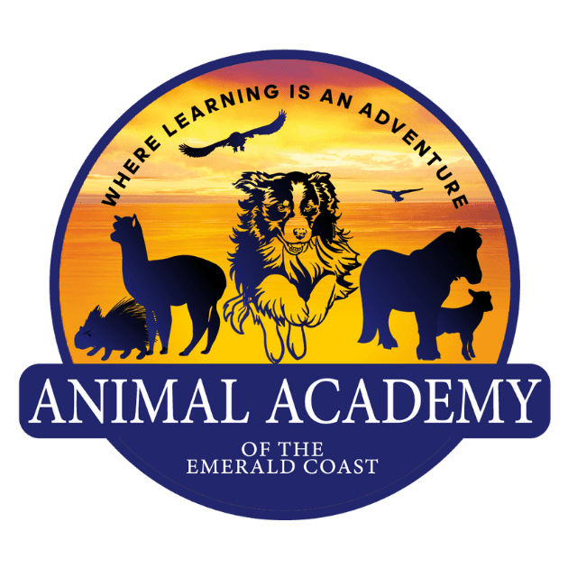 Animal Academy of the Emerald Coast