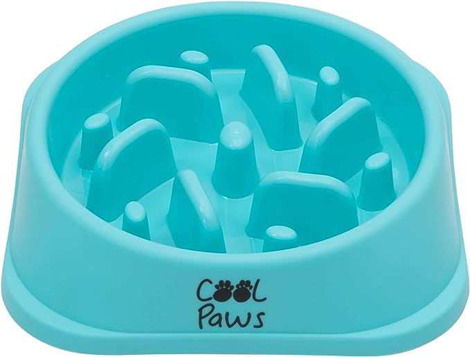 Pet Dog Plastic Educational Toy Anti Choke Bowl Funny Interactive