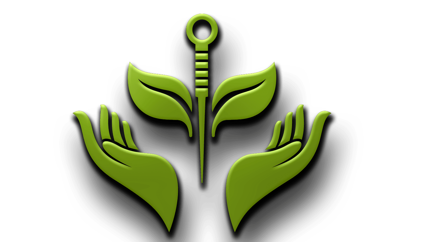 Holistic Dynamics: Acupuncture and Chinese Medicine, LLC