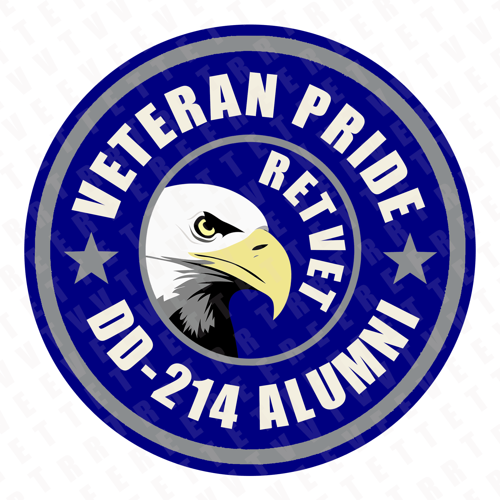 a-profile-of-us-veterans-usa-business-radio