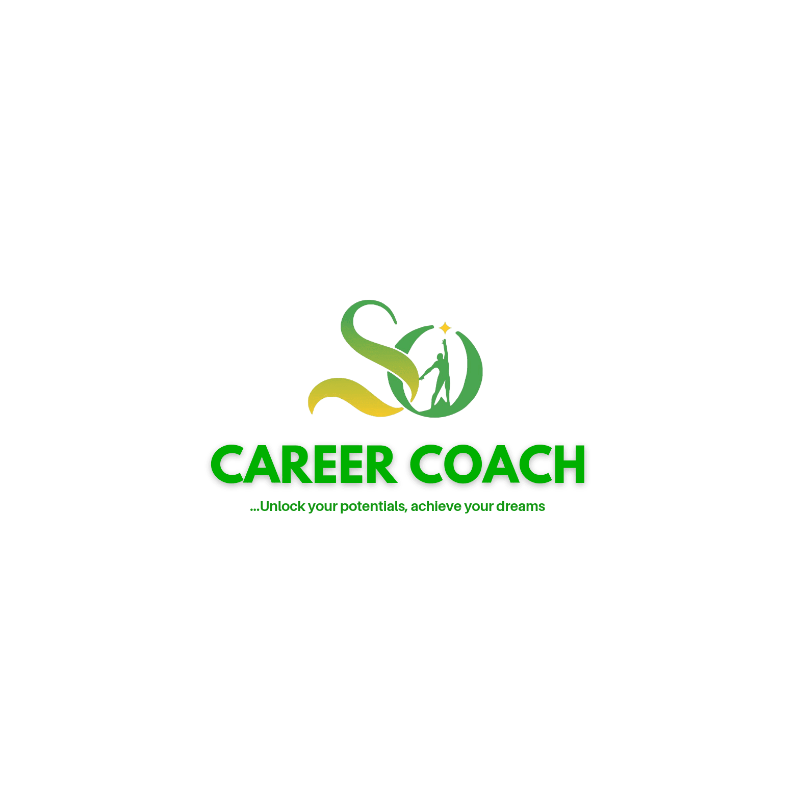 SO Coaching Consulting Services