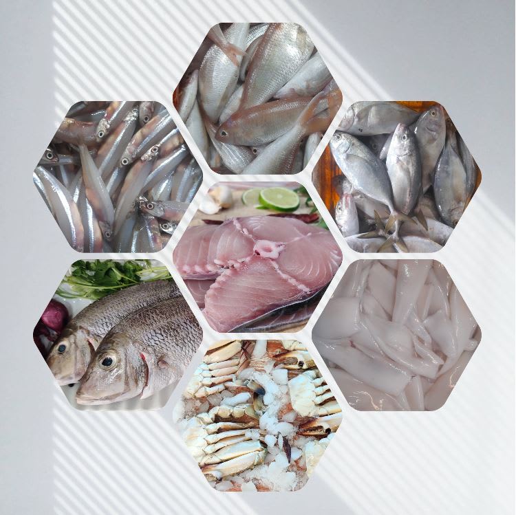 Meet Ur Fish Seafood Seafood Wholesaler & Retailer Frisco