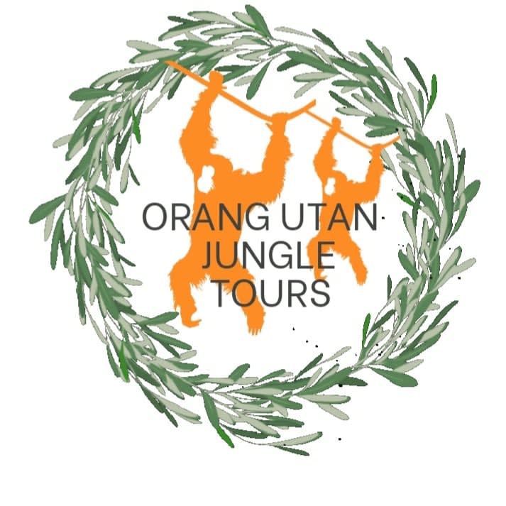 Orangutan Jungle Tours