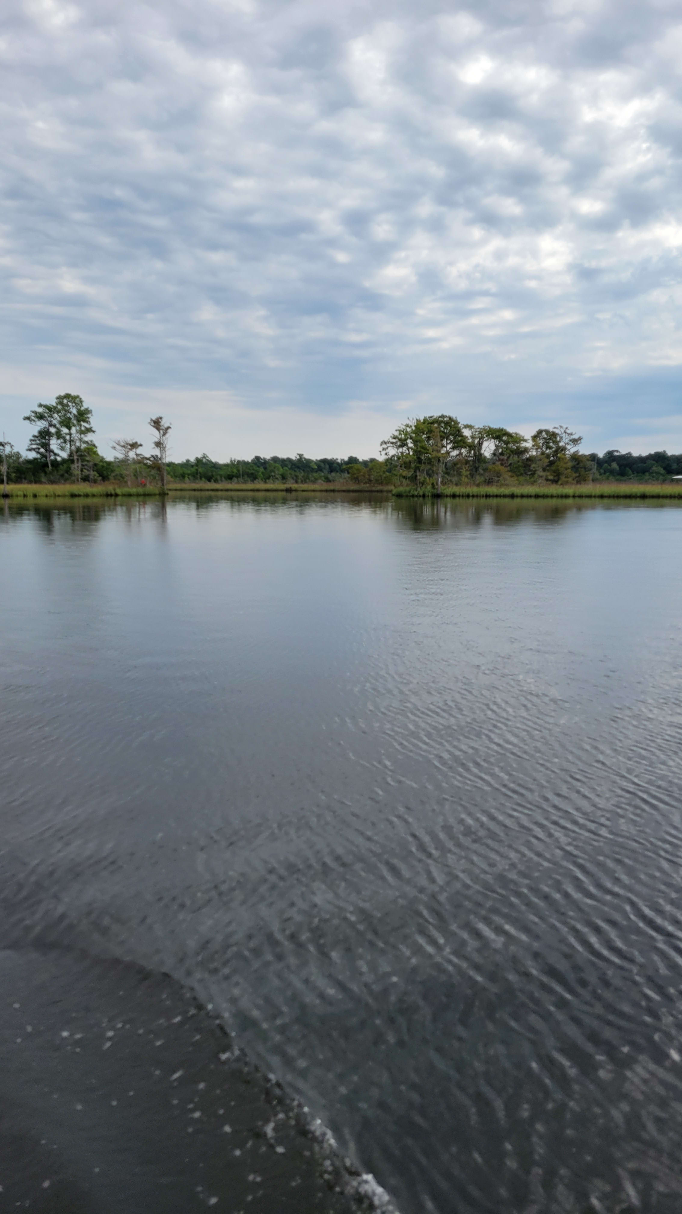 3 Little Birds Charters | Guided Tours | Choctawhatchee Bay