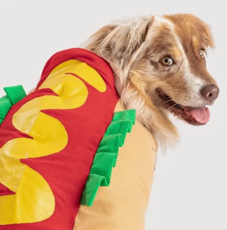 Dog Costume - In Stock : About Costume Shop