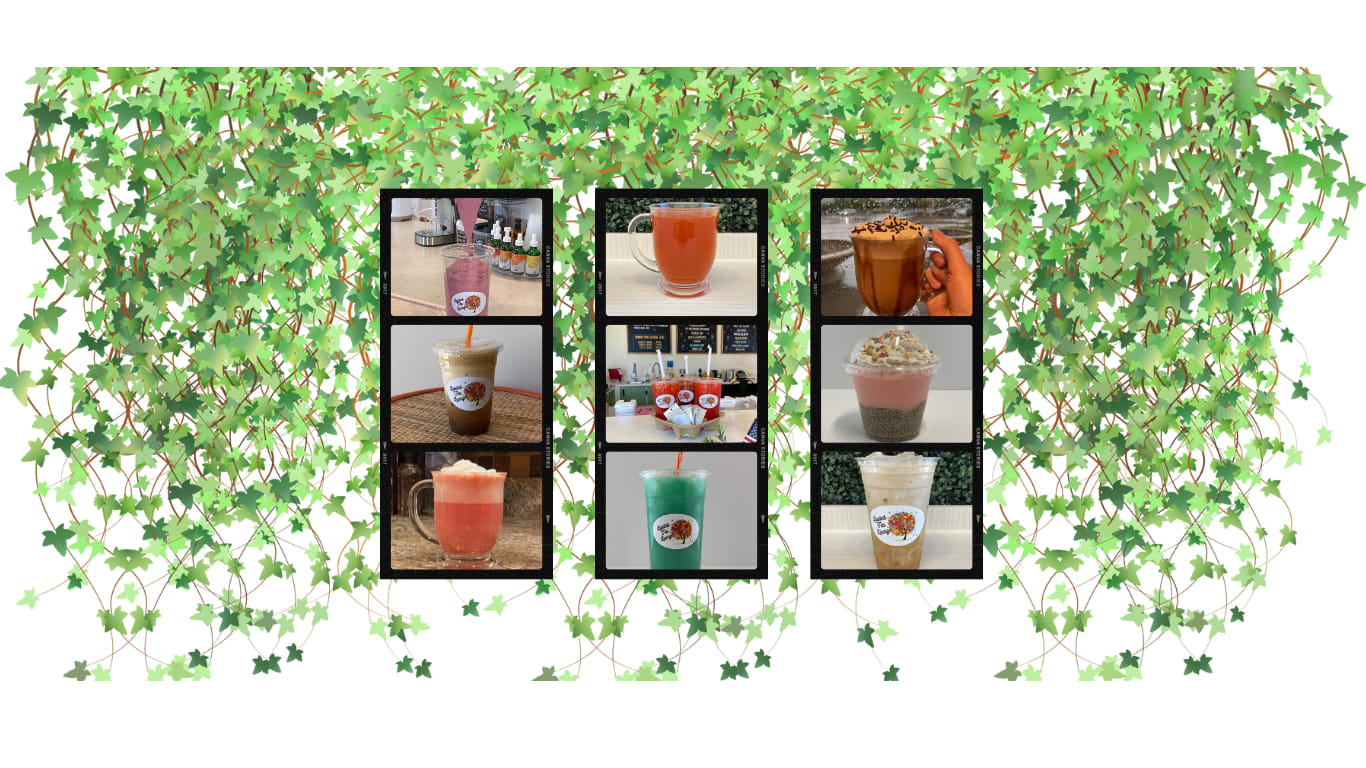 Loaded Tea Lounge Sugar Free Drinks And Protein Snacks In Westminster loaded-tea-lounge-sugar-free-drinks-and-protein-snacks-in-westminster