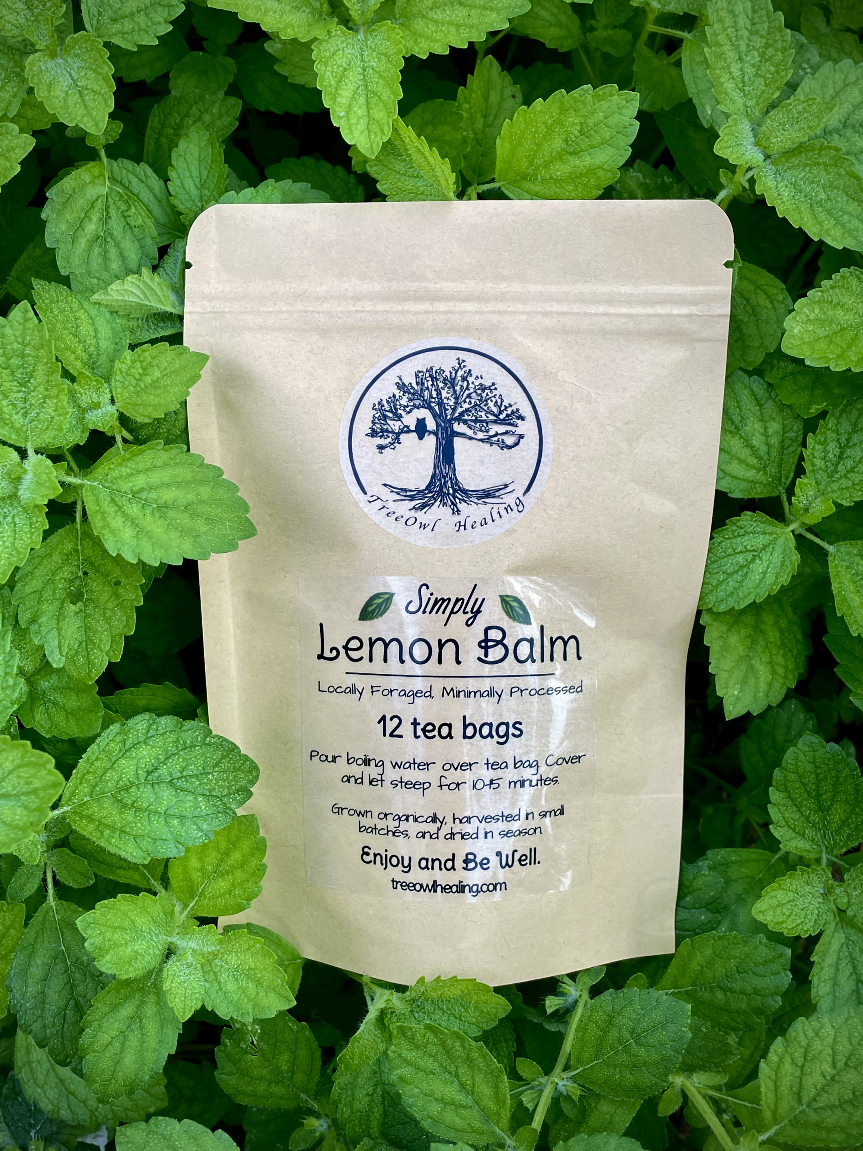 Herbaria Lemon Balm 25 Tea Bags – Essence of Life Organics