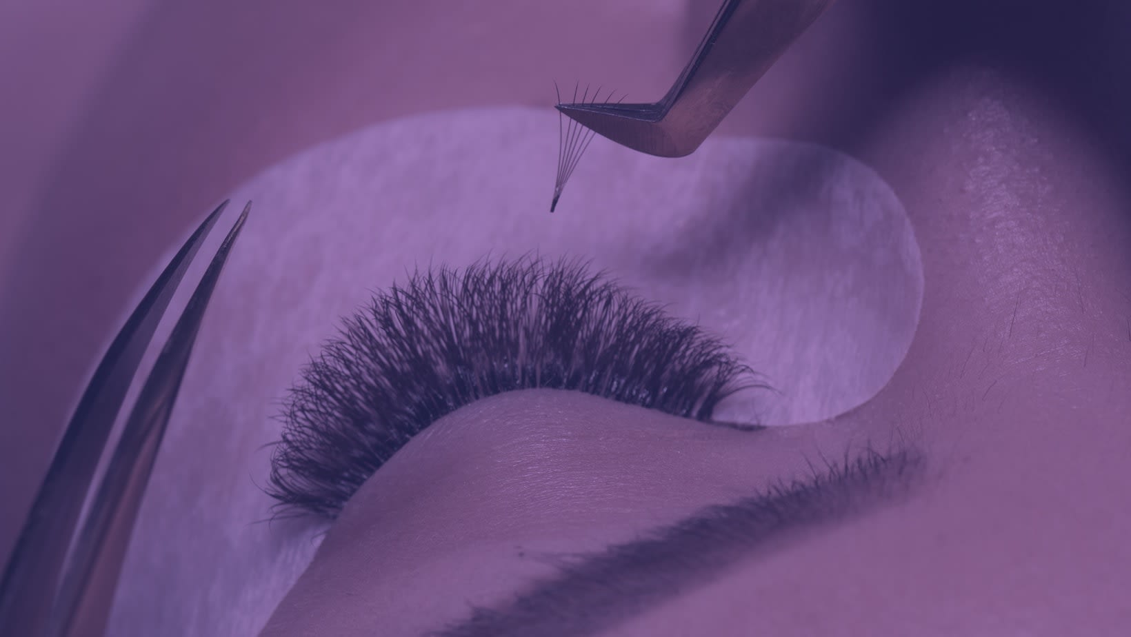 Lash Enhancements Lash Beauty Procedures Elite Lash Studio Boston