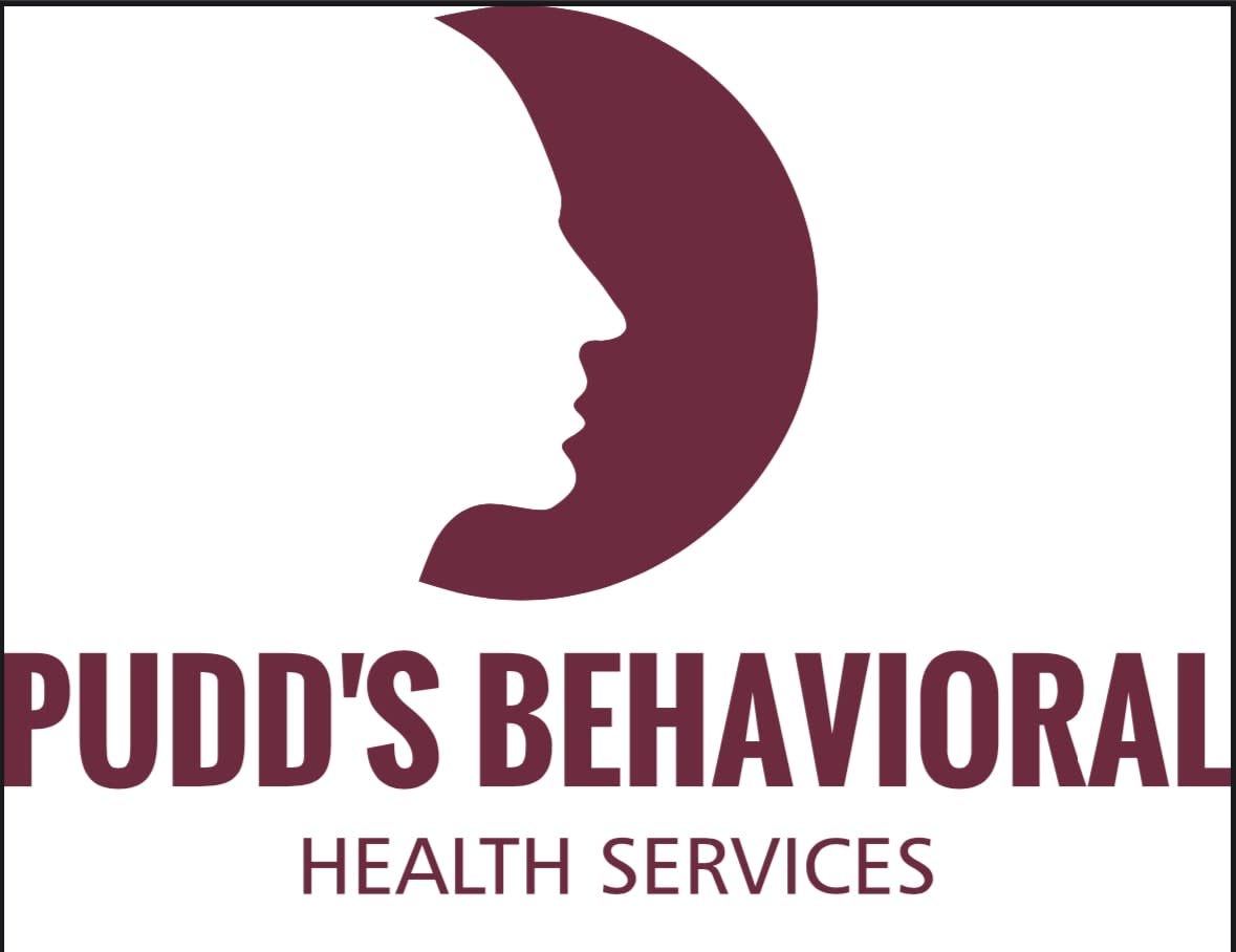 Pudd's Behavioral Health Services, L.L.C.