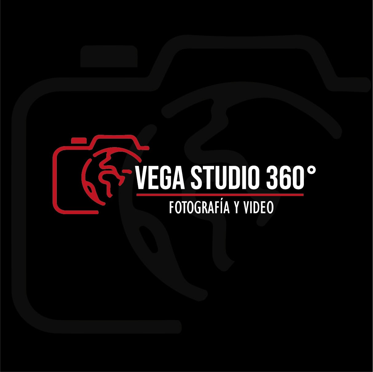 VegaStudio 360°